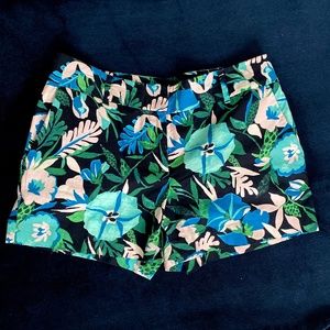 EUC Ann Taylor Loft Shorts 4